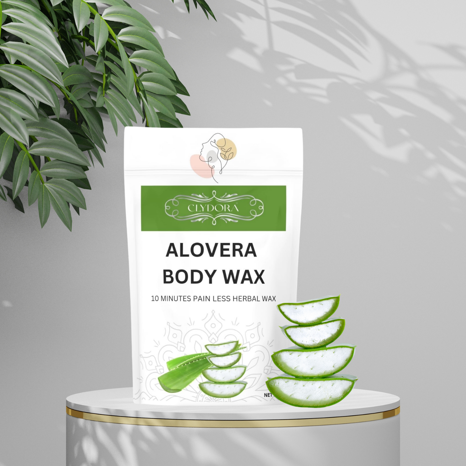 Aloe Vera Painless Herbal Hair Removal Powder