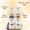 Methi & Lavender Rosemary Water Pack of 2