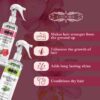 Rosemary & Hibiscus Rosemary Water Pack of 2