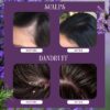 Rose & Lavender Rosemary Water Pack of 2