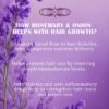 Lavender & Onion Rosemary Water Pack of 2