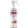 Hibiscus Rosemary Water