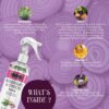 Onion Rosemary Water