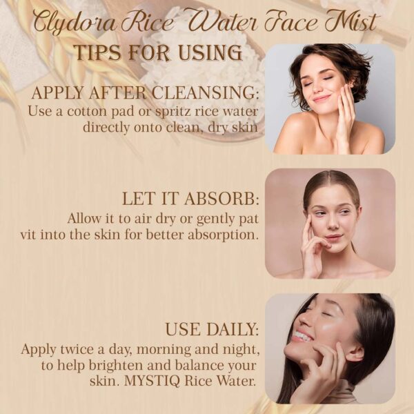 4 Rice Face Mist