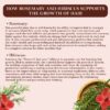 Hibiscus Rosemary Water